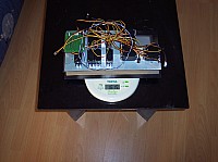 100_3247.jpg